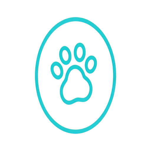 Pet Toys