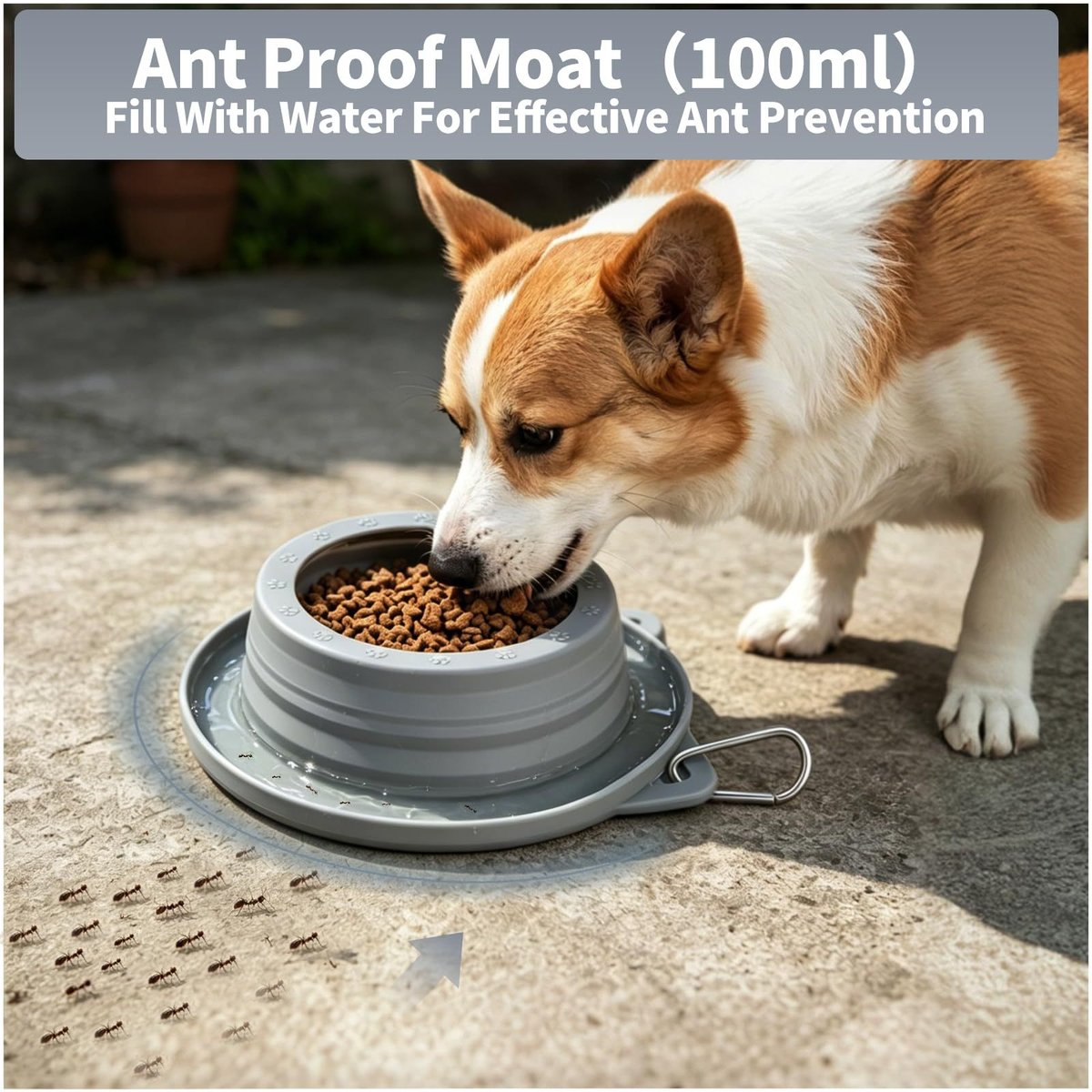 2 in 1 Collapsible No Spill & Ant Proof Dog Bowl 2