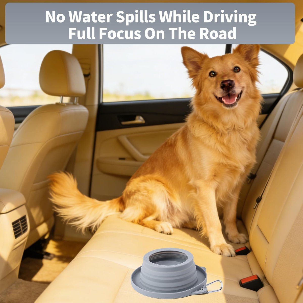2 in 1 Collapsible No Spill & Ant Proof Dog Bowl 3