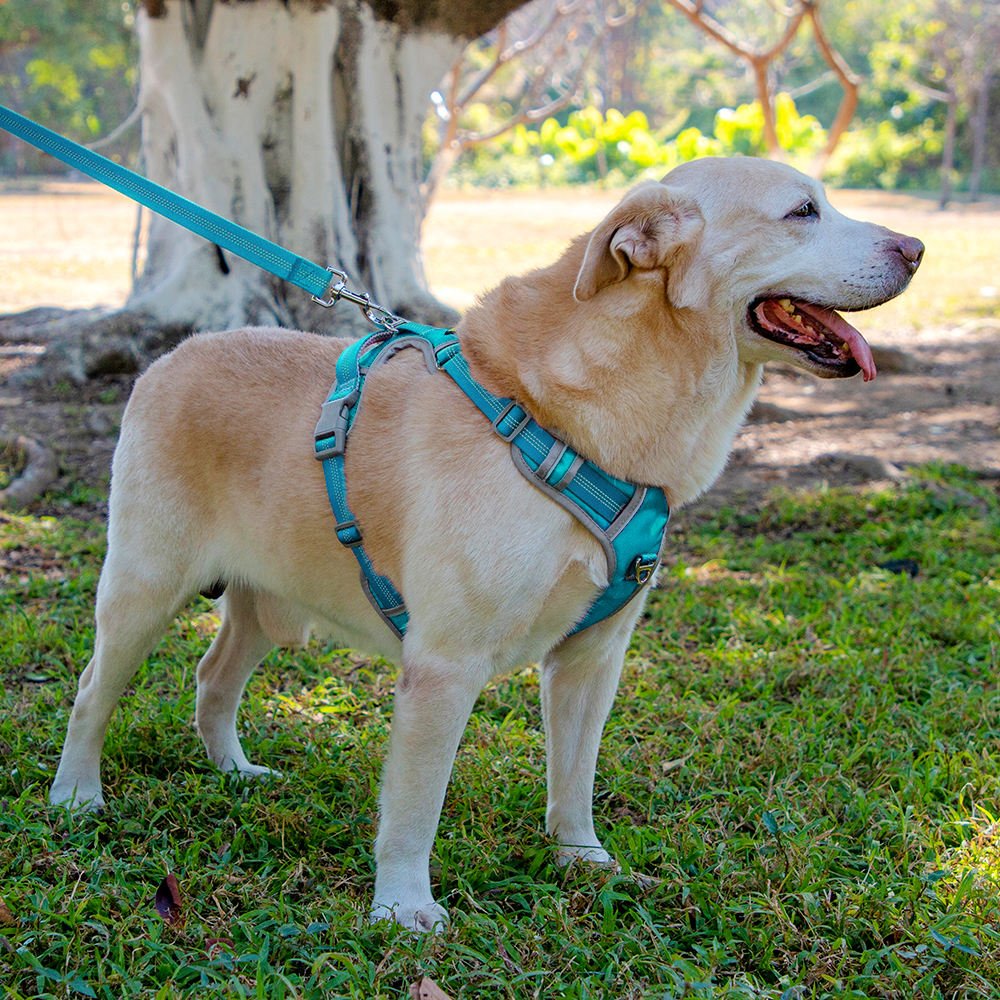 Reflective No Pull Dog Harness 3