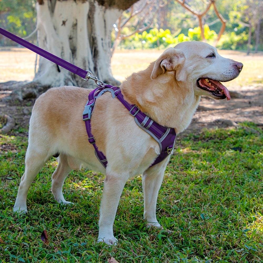 Oxford Mesh Padded Pet Harness for Small Medium Large Dogs 2